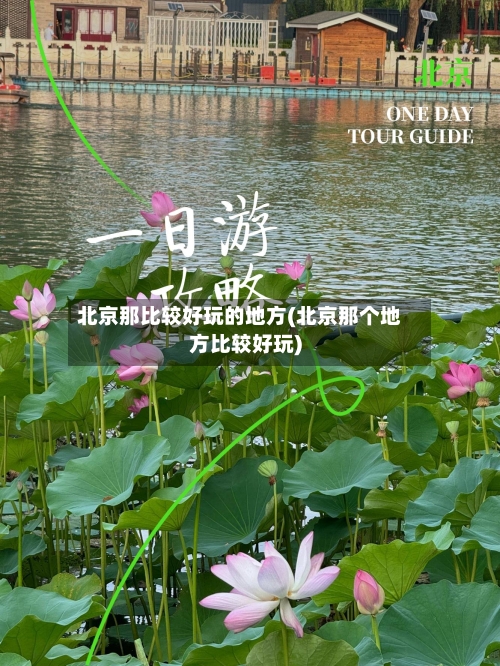 北京那比较好玩的地方(北京那个地方比较好玩)-第2张图片