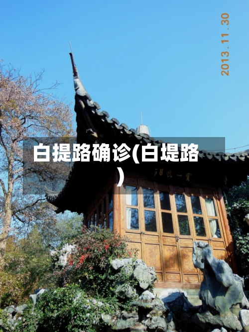 白提路确诊(白堤路)