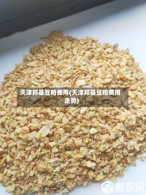 天津邦基豆粕费用(天津邦基豆粕费用走势)