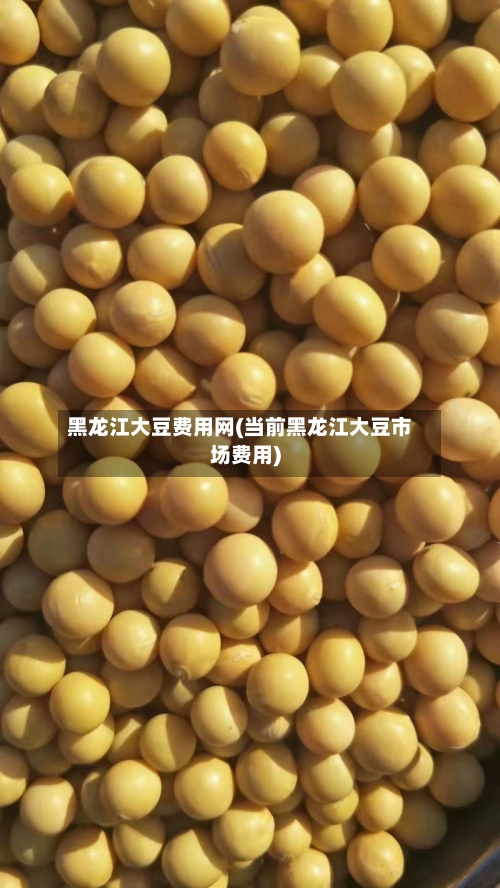 黑龙江大豆费用网(当前黑龙江大豆市场费用)