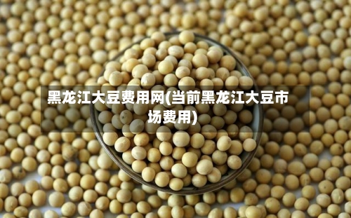 黑龙江大豆费用网(当前黑龙江大豆市场费用)-第3张图片