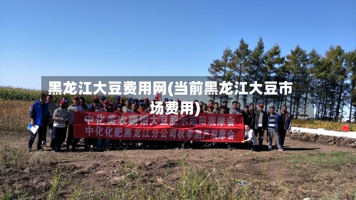 黑龙江大豆费用网(当前黑龙江大豆市场费用)-第2张图片