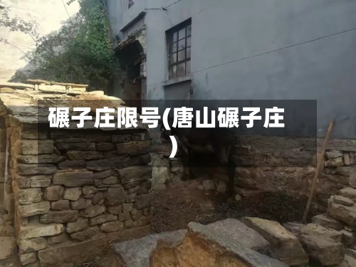 碾子庄限号(唐山碾子庄)-第3张图片