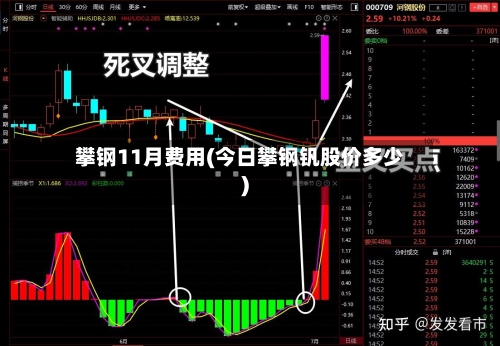 攀钢11月费用(今日攀钢钒股价多少)