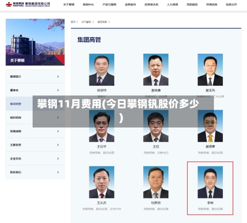 攀钢11月费用(今日攀钢钒股价多少)-第3张图片