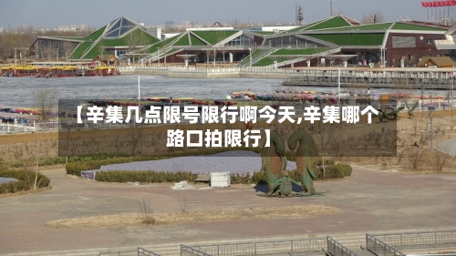 【辛集几点限号限行啊今天,辛集哪个路口拍限行】-第2张图片