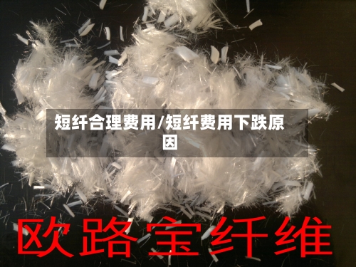 短纤合理费用/短纤费用下跌原因-第3张图片