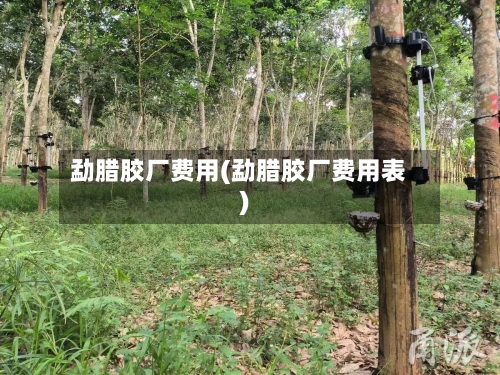 勐腊胶厂费用(勐腊胶厂费用表)