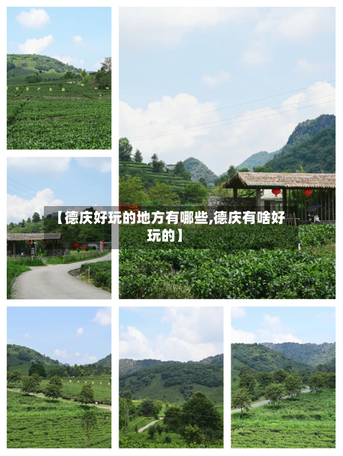【德庆好玩的地方有哪些,德庆有啥好玩的】-第2张图片