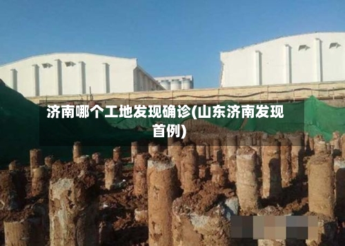 济南哪个工地发现确诊(山东济南发现首例)