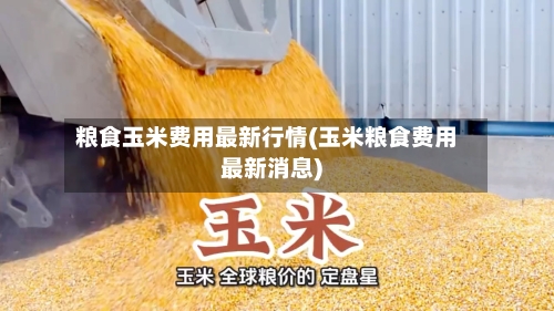 粮食玉米费用最新行情(玉米粮食费用最新消息)