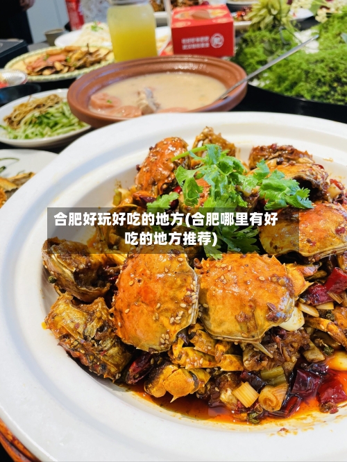 合肥好玩好吃的地方(合肥哪里有好吃的地方推荐)