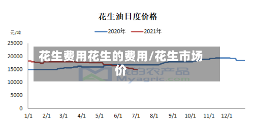 花生费用花生的费用/花生市场价
