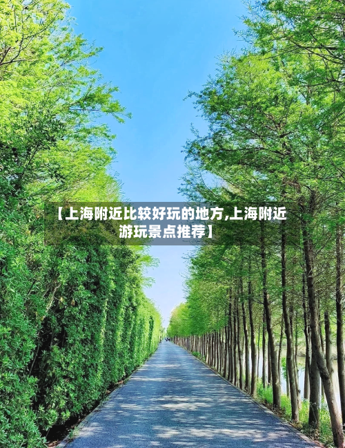 【上海附近比较好玩的地方,上海附近游玩景点推荐】