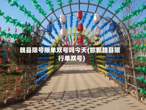 魏县限号限单双号吗今天(邯郸魏县限行单双号)-第3张图片