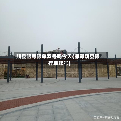 魏县限号限单双号吗今天(邯郸魏县限行单双号)-第2张图片
