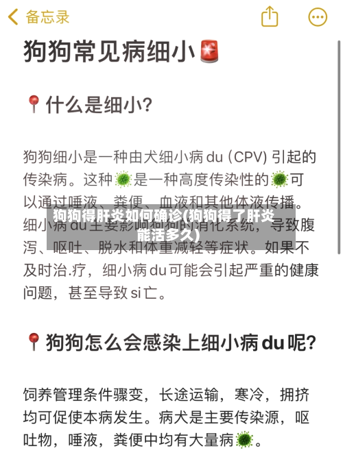 狗狗得肝炎如何确诊(狗狗得了肝炎能活多久)
