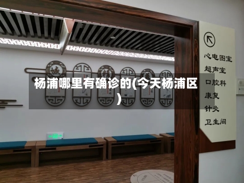 杨浦哪里有确诊的(今天杨浦区)-第3张图片