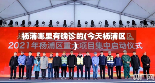 杨浦哪里有确诊的(今天杨浦区)-第2张图片