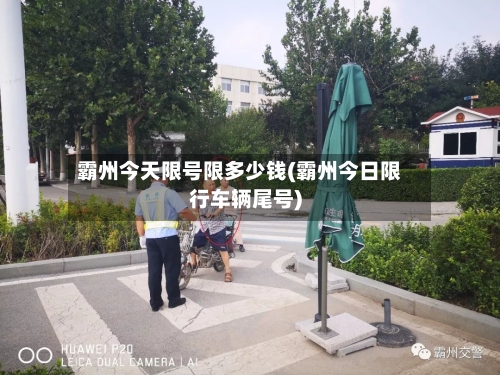 霸州今天限号限多少钱(霸州今日限行车辆尾号)-第3张图片