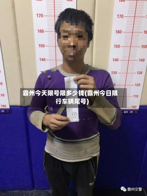 霸州今天限号限多少钱(霸州今日限行车辆尾号)-第2张图片