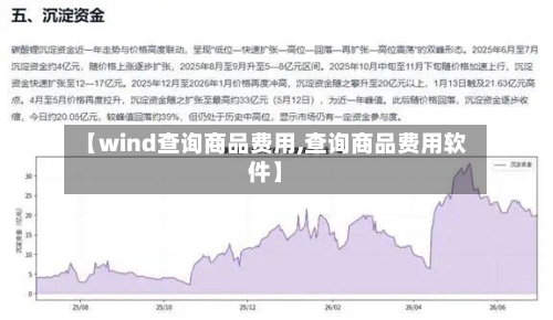【wind查询商品费用,查询商品费用软件】-第2张图片