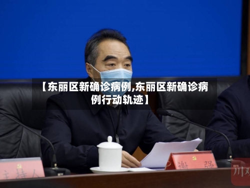 【东丽区新确诊病例,东丽区新确诊病例行动轨迹】-第2张图片