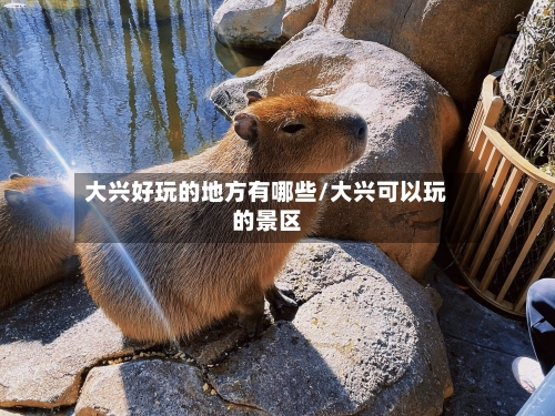 大兴好玩的地方有哪些/大兴可以玩的景区