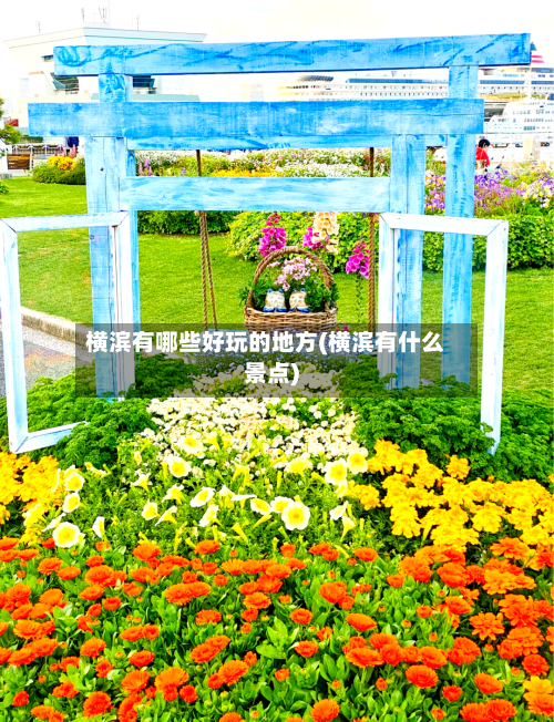 横滨有哪些好玩的地方(横滨有什么景点)