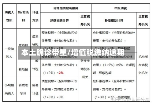本土确诊带星/增值税缴纳逾期-第2张图片
