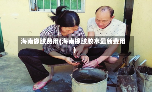 海南像胶费用(海南橡胶胶水最新费用)-第2张图片