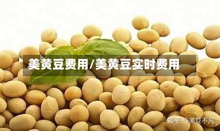 美黄豆费用/美黄豆实时费用