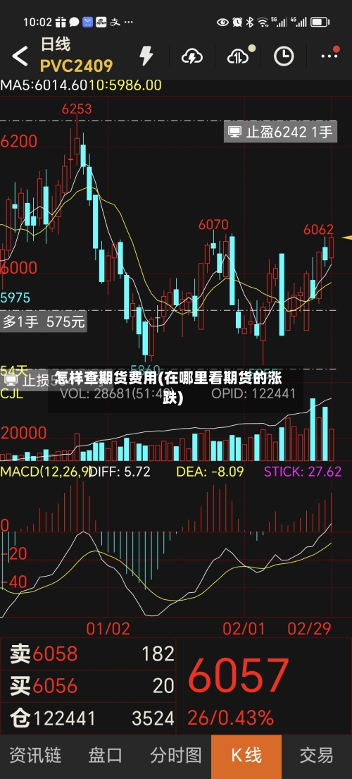怎样查期货费用(在哪里看期货的涨跌)-第2张图片