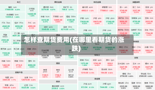 怎样查期货费用(在哪里看期货的涨跌)-第3张图片