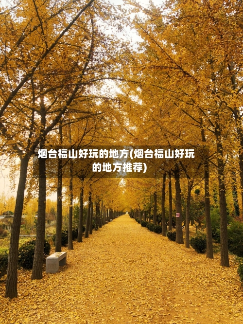 烟台福山好玩的地方(烟台福山好玩的地方推荐)-第2张图片