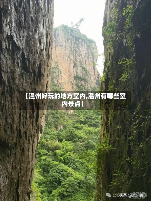 【温州好玩的地方室内,温州有哪些室内景点】-第3张图片