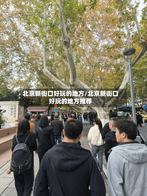 北京新街口好玩的地方/北京新街口好玩的地方推荐