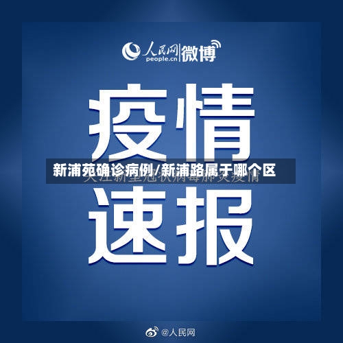 新浦苑确诊病例/新浦路属于哪个区-第2张图片