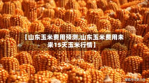 【山东玉米费用预测,山东玉米费用未来15天玉米行情】-第2张图片