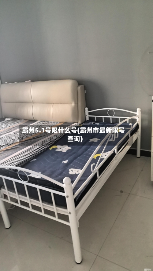 霸州5.1号限什么号(霸州市最新限号查询)