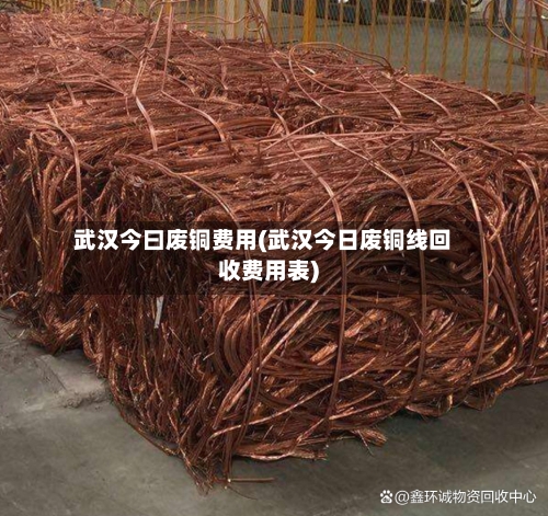 武汉今曰废铜费用(武汉今日废铜线回收费用表)