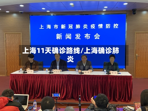 上海11天确诊路线/上海确诊肺炎-第2张图片