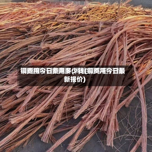 铜费用今日费用多少钱(铜费用今日最新报价)