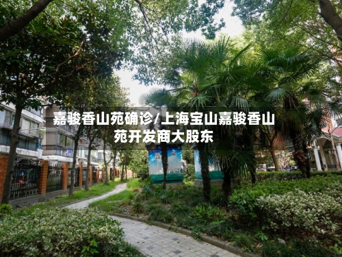 嘉骏香山苑确诊/上海宝山嘉骏香山苑开发商大股东