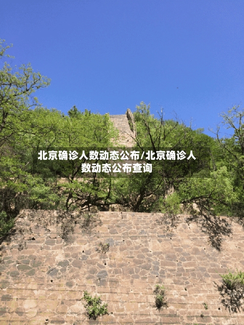 北京确诊人数动态公布/北京确诊人数动态公布查询