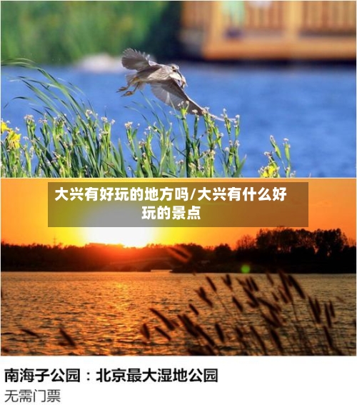 大兴有好玩的地方吗/大兴有什么好玩的景点-第3张图片
