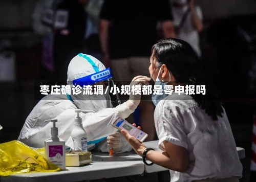 枣庄确诊流调/小规模都是零申报吗
