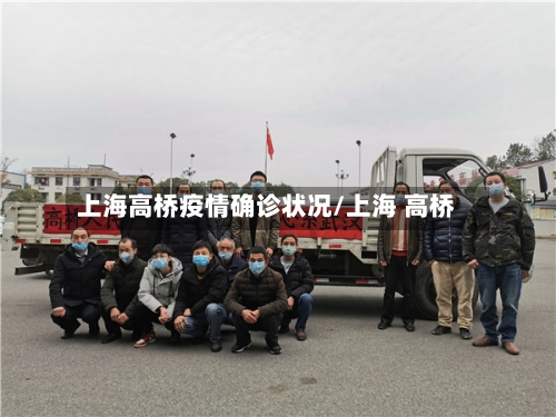 上海高桥疫情确诊状况/上海 高桥-第2张图片