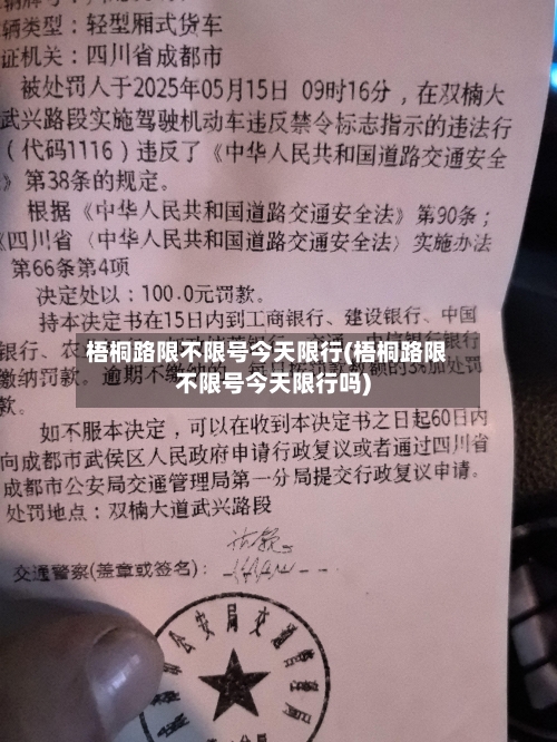 梧桐路限不限号今天限行(梧桐路限不限号今天限行吗)