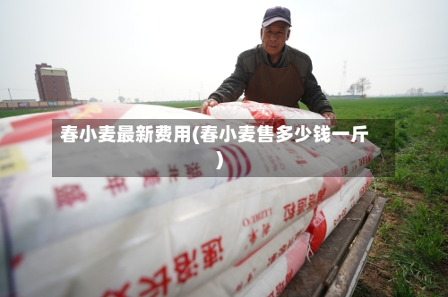 春小麦最新费用(春小麦售多少钱一斤)-第2张图片
